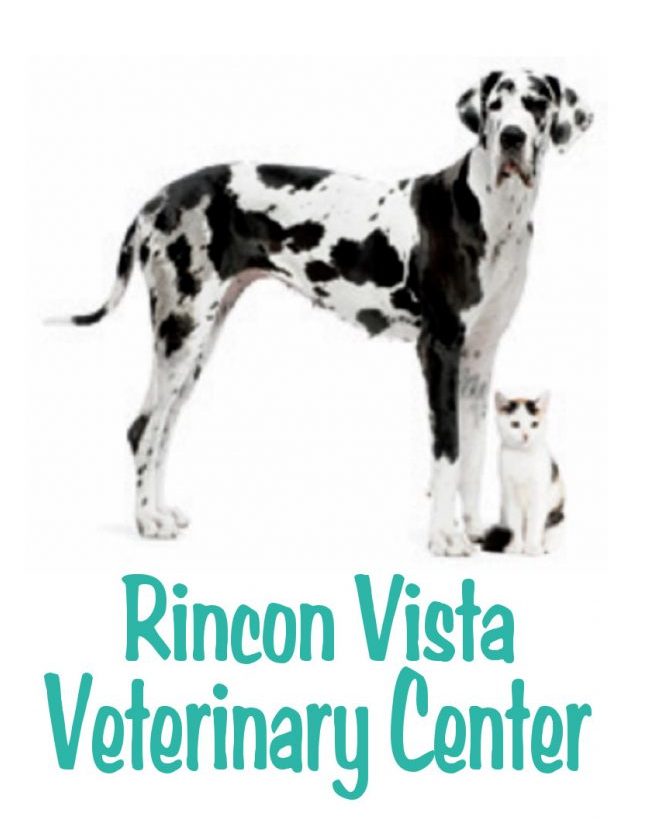Rincon Vista Veterinary Clinic